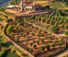 Farm Overhead View 3